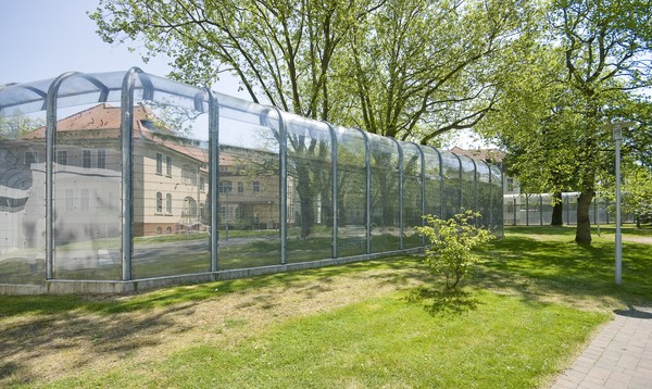 Der hohe Sicherheitszaun der Klinik (Bild: LWL/Arendt)